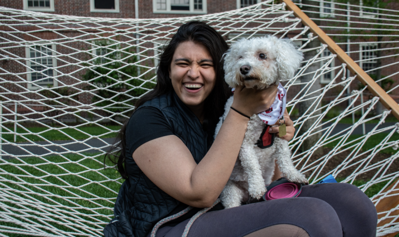 Student in Lowell House playing with one of the Lowell staff's dog. (pc: The Harvard Crimson)