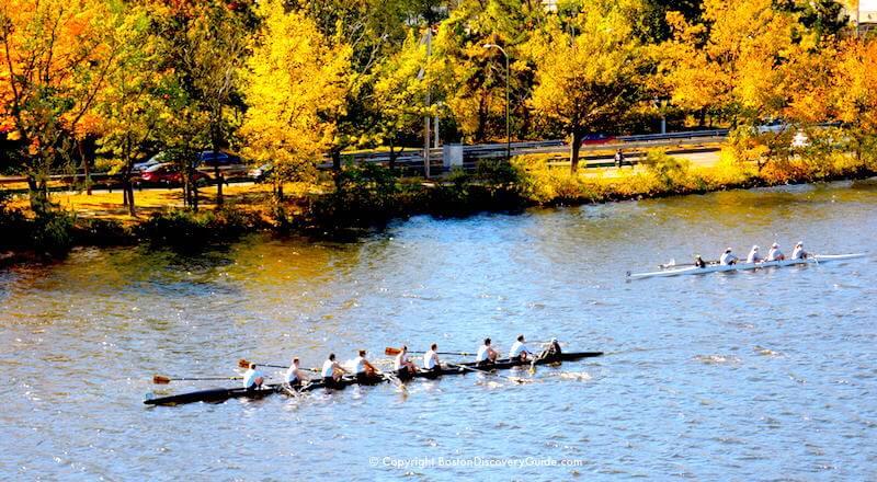 Rowing team rowing in the Charles River | pc: Boston Discovery Guide