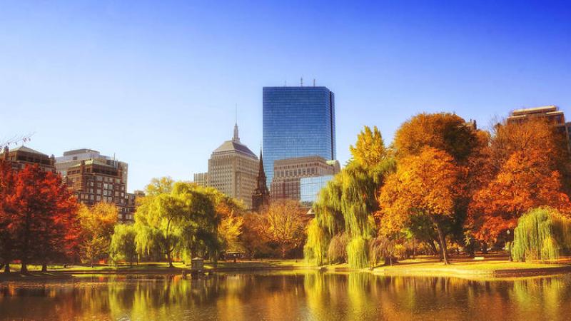 Boston Commons in the Fall | pc: TimeOut