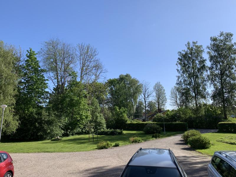 Picture of a driveway with trees in the background under a sunny, clear blue sky.