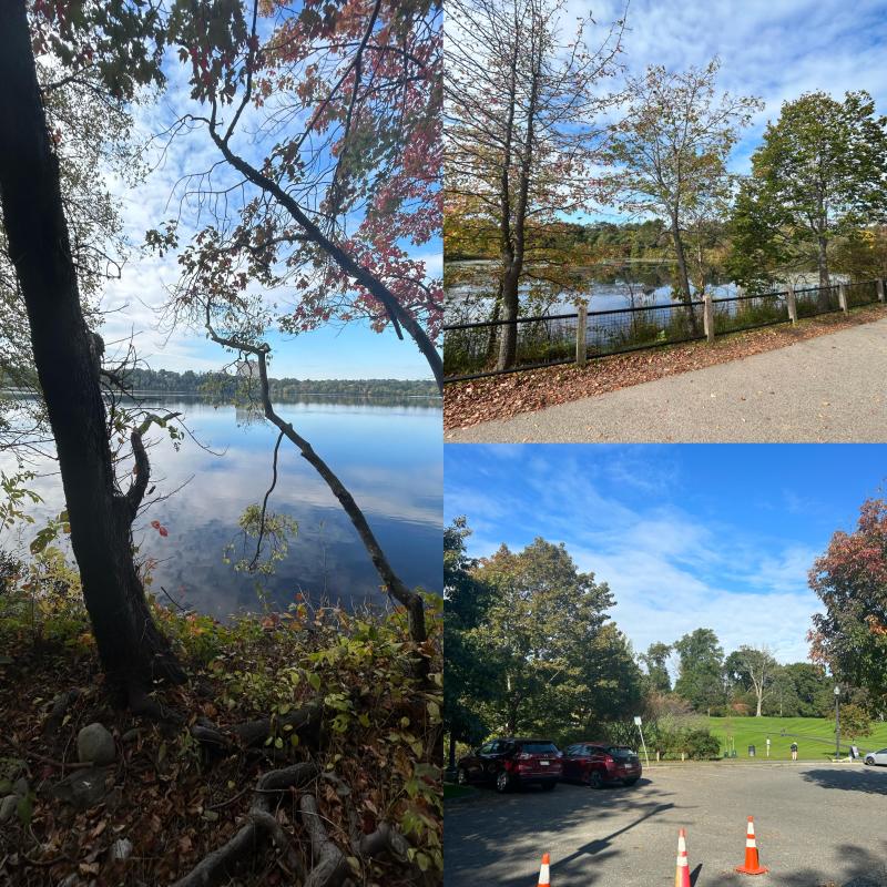 A collage of three photos of the Fresh Pond reservation and its running trails. 