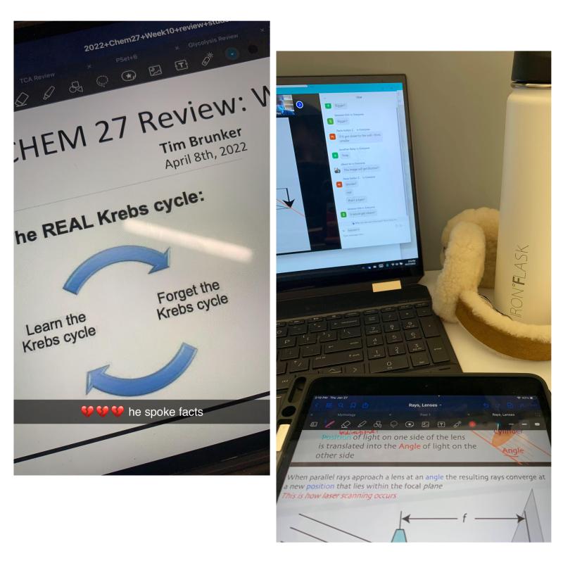 A collage of two images, side by side. The left image is a picture of lecture notes on an iPad with the caption "he spoke facts" with the red heartbreak emoji. This is in reference to the slide on the iPad that is a meme about studying the Krebs cycle. The right image is a picture of an iPad and laptop at a desk.