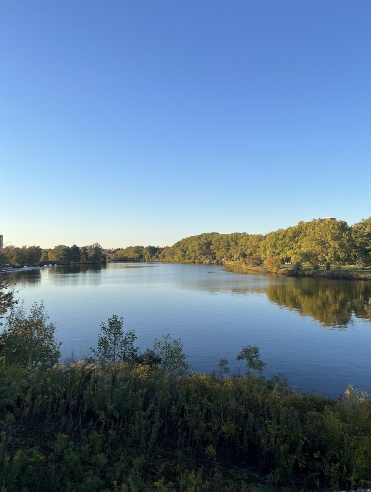 Image of a lake and greenery