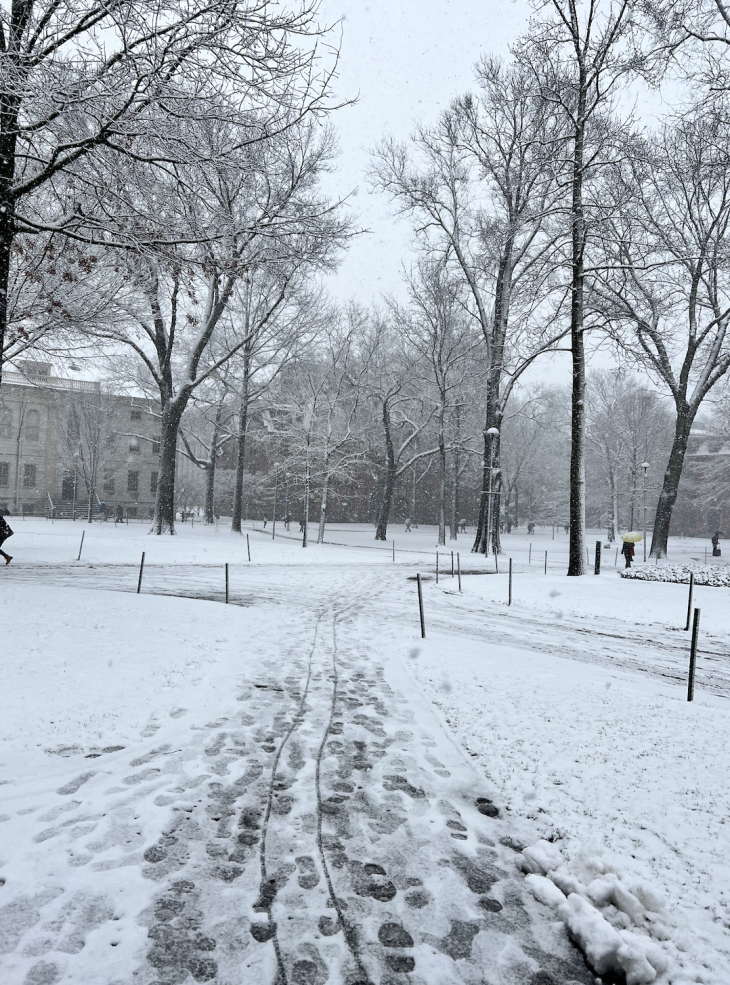 Image of footsteps in the snow 