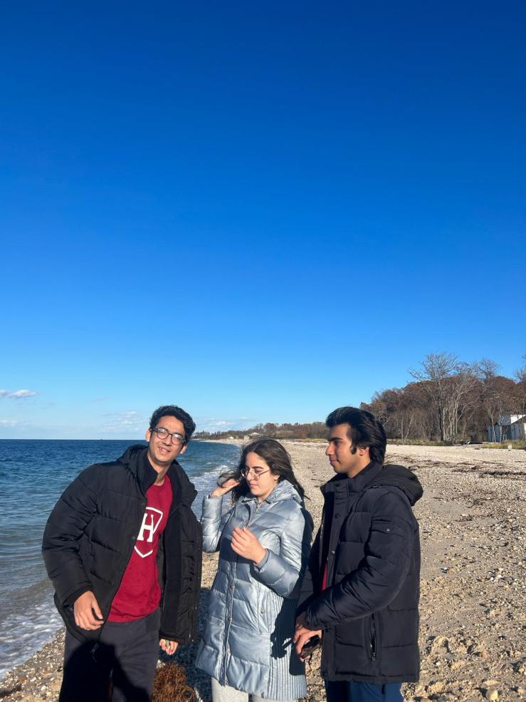 Wind along the beach 