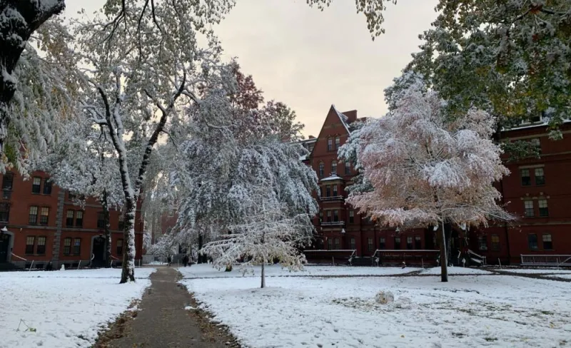 Harvard Yard covered in snow