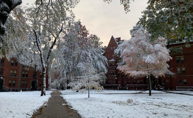 Harvard Yard covered in snow