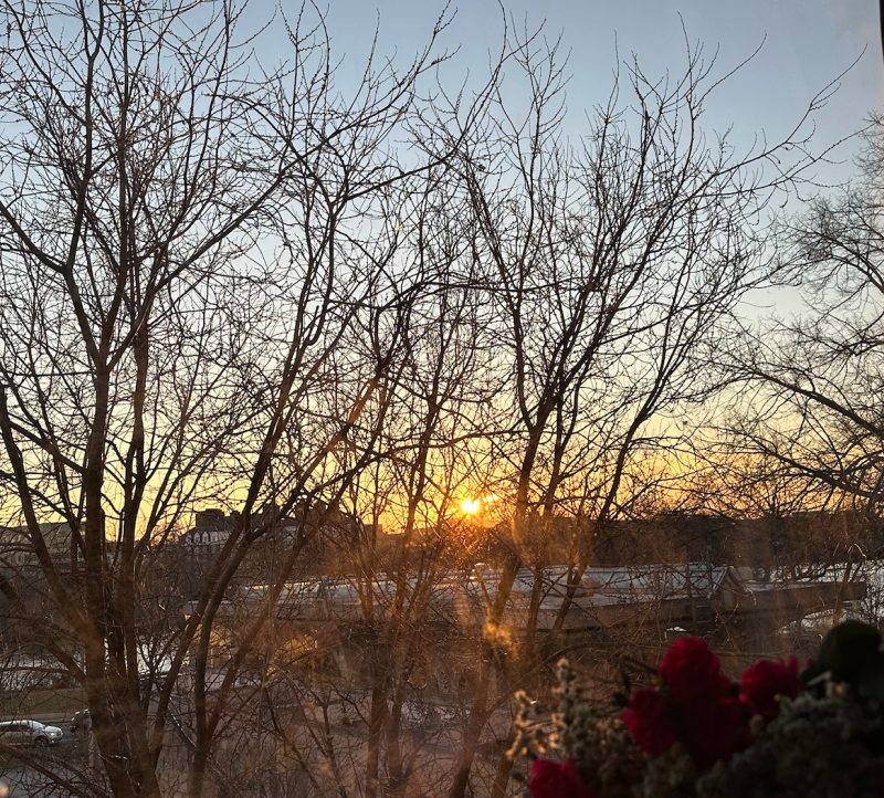 A picture on Ana's view from her window during the sunset from a winter day. 