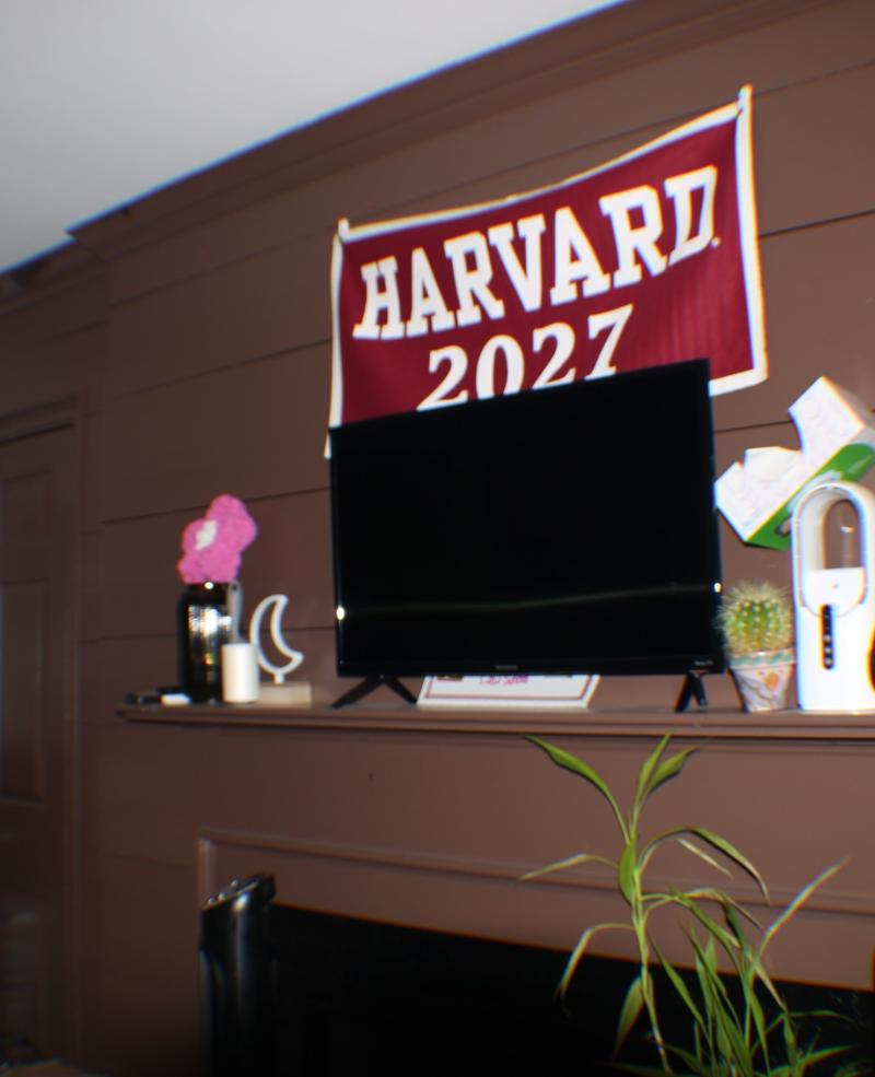 A picture of the TV and Harvard 2027 Flag.