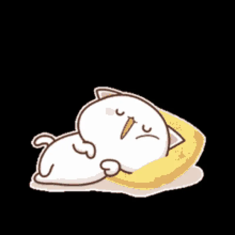 Cat sleeping on a pillow