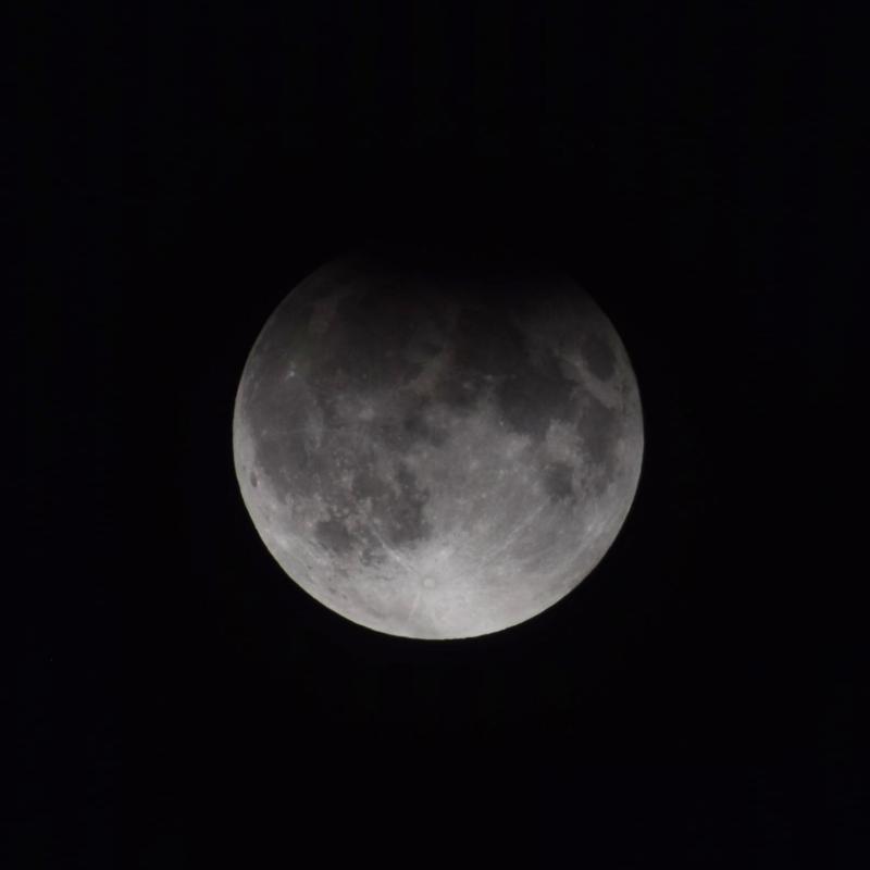 A close-up picture of the moon, taken at night.