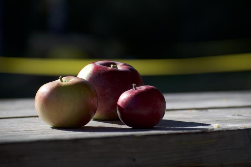 Picture of three apples on a picnic table. 