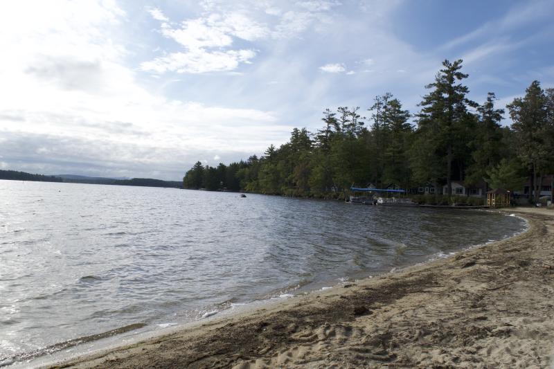 Picture of the edge of a beach beside a lake with a pine forest in the background.