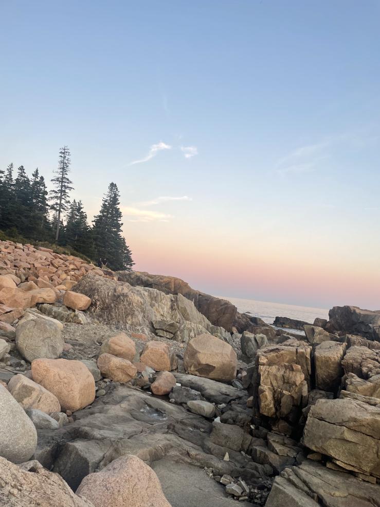 Picture of a blue-ish pink sky, taken from a rocky shore with pine trees in the background.