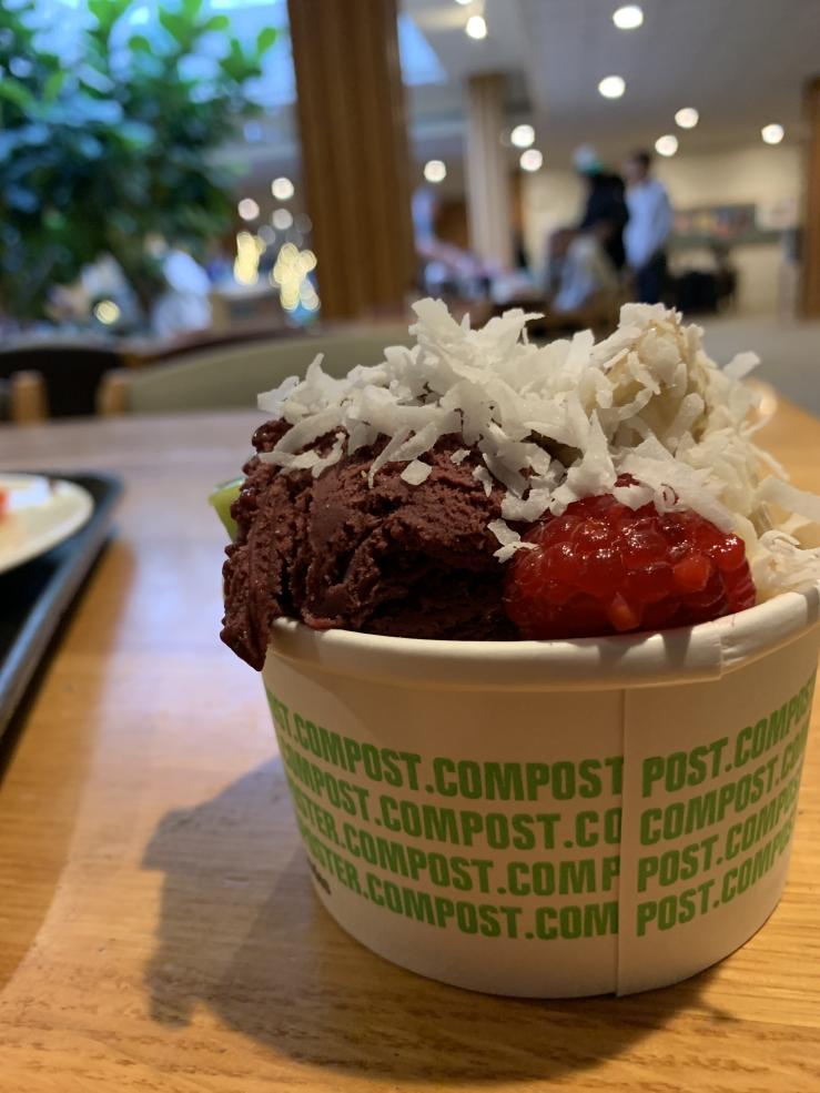 Picture of an acai bowl with raspberries, coconut flakes, and banana slices in the Currier House dining hall.