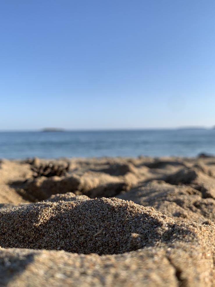 A close-up picture of sand at a beach with the ocean water in the background.