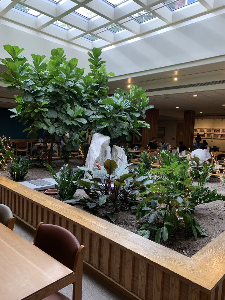 Picture of an indoor garden with a various plants and a fountain in the middle of the Currier House dining hall.