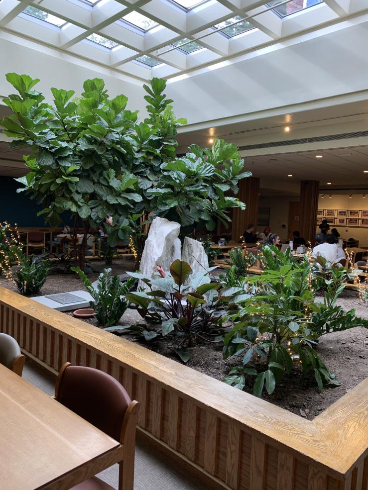 Picture of an indoor garden with a various plants and a fountain in the middle of the Currier House dining hall.