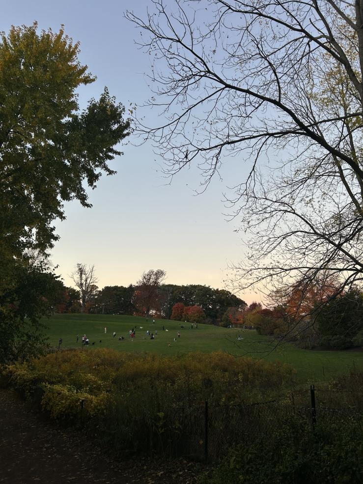 Fresh Pond is pictured, which Lizbeth discovered while jogging near the quad. 