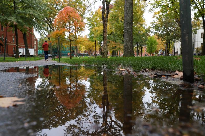 A view of Harvard Yard as it rains in the Fall