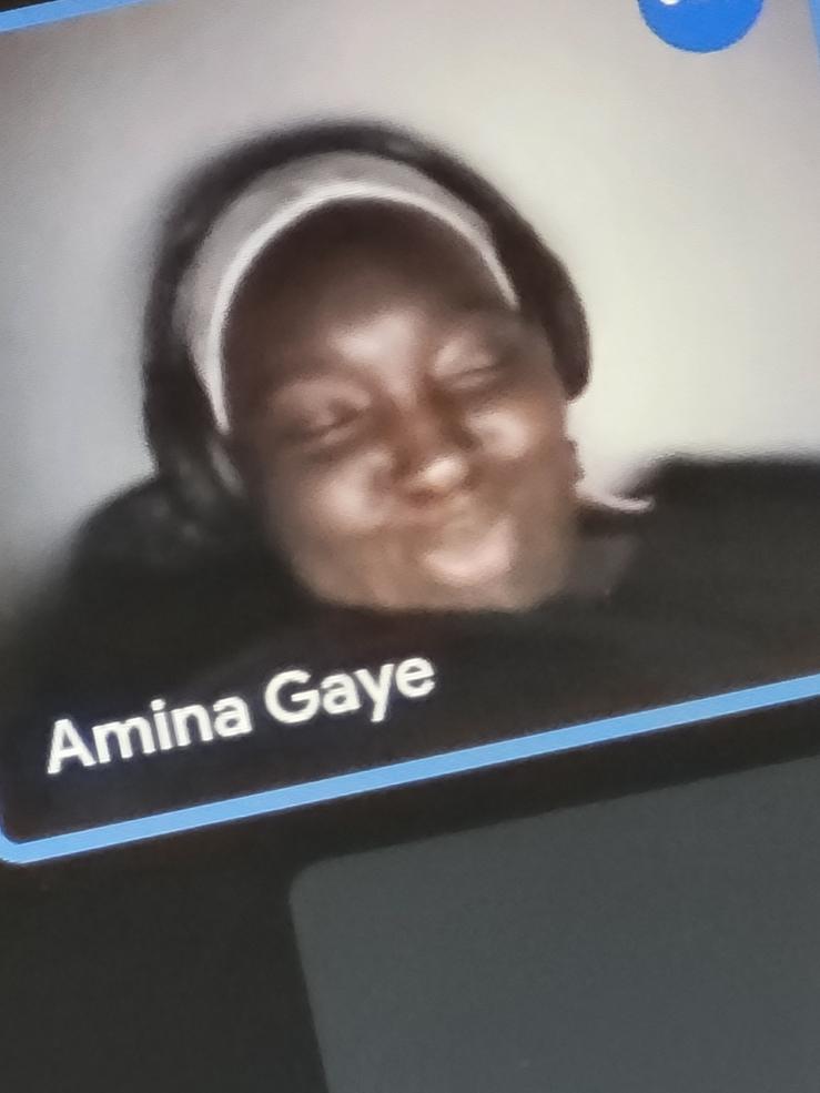 Picture of a video call with my older sister!