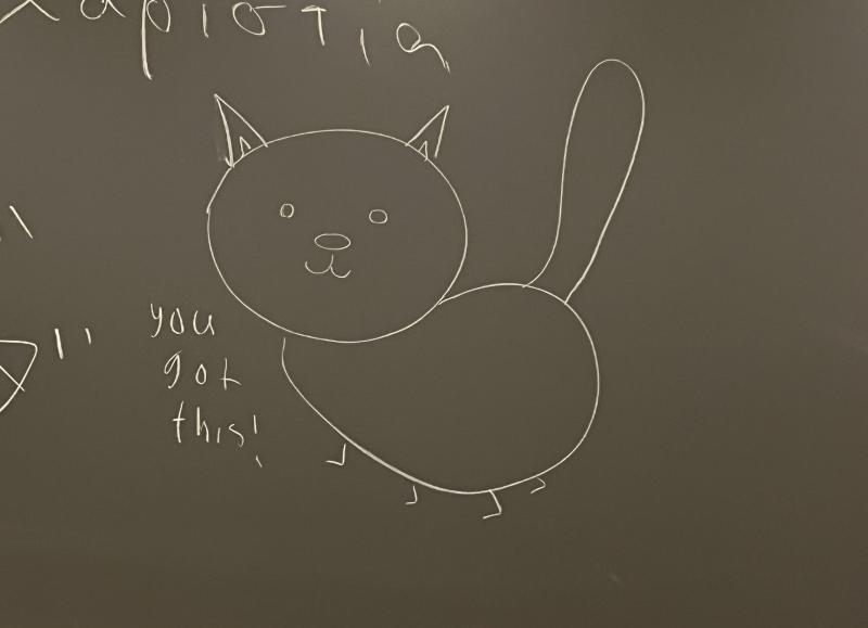 Drawing of a cat on a chalk board with the message "you got this!" written on the left