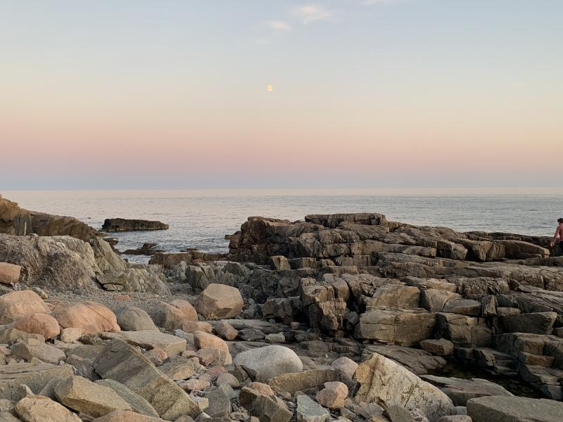 Picture of the setting sun in a pink sky with a rocky beach in the foreground.