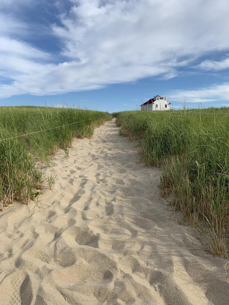 Picture of a sandy path with wild vegetative on the side and a white barn in the background.