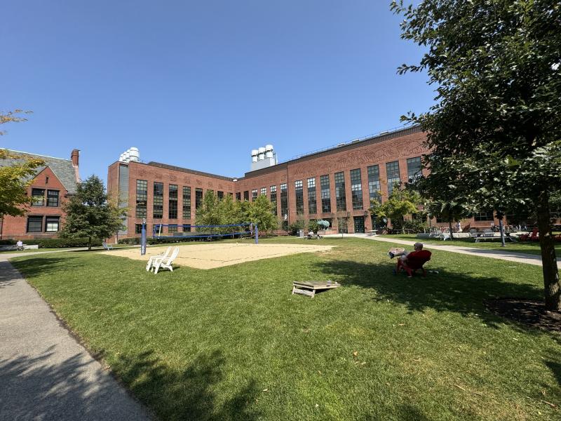A sunny day in the Biolabs courtyard
