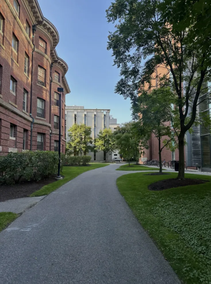 Path on Harvard's campus during the summer with brick buildings and greenery. 