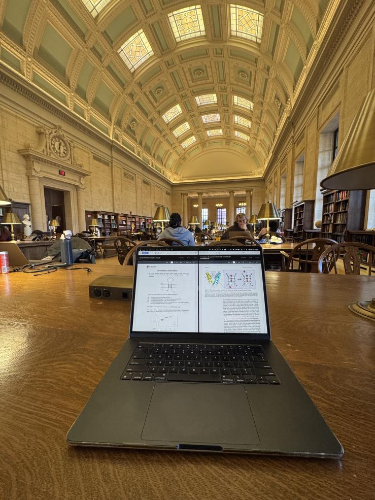 Working on my homework in the Widener Library Loker Reading Room