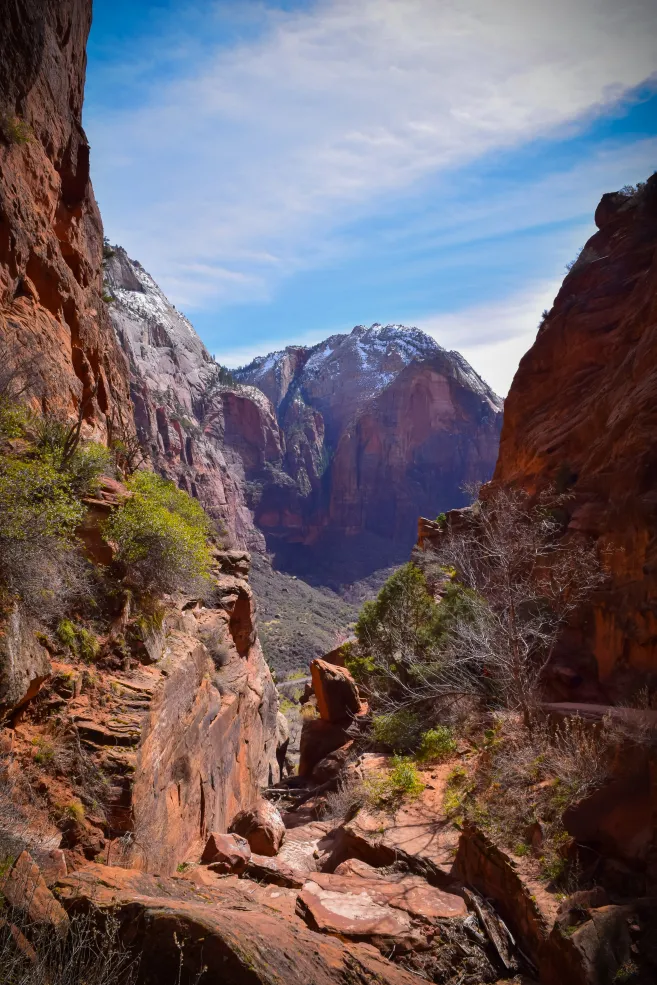 A picture of the mountains on the West Rim Trail with snow-capped mountains in the background.