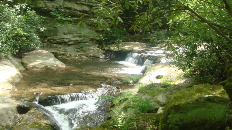 A picture of small cascades in a river surrounded by greenery.