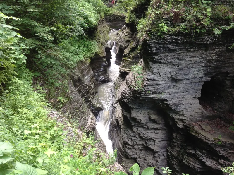 A picture of a waterfall and stream cutting through a valley, surrounded by trees and wild greenery.