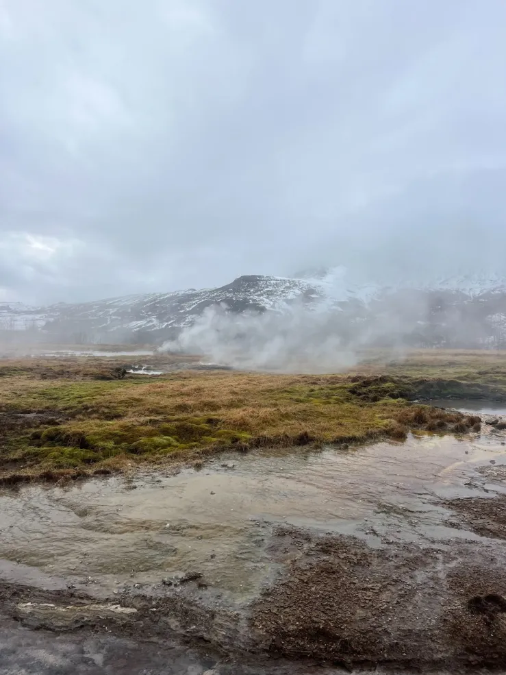 Image of grasslands, fog, and a mountain in the background