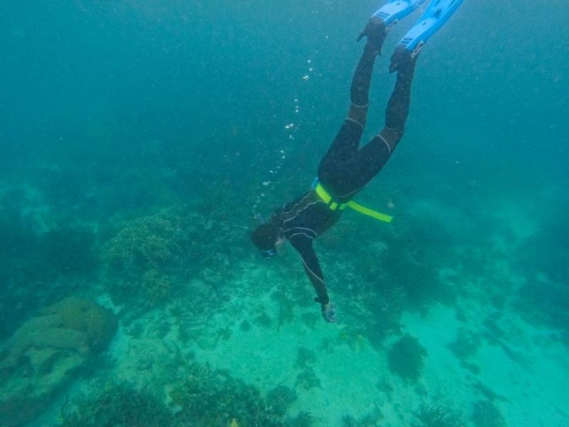 Ida snorkeling