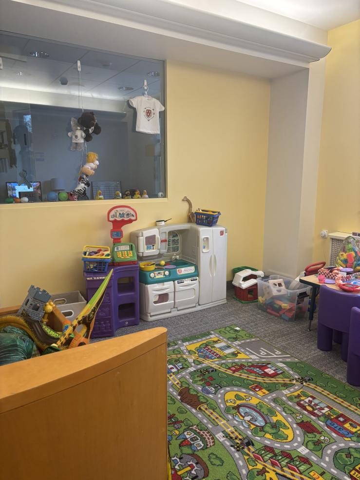 A play area with lots of toys like a pretend kitchen, building blocks, an inflatable pterodactyl, etc.