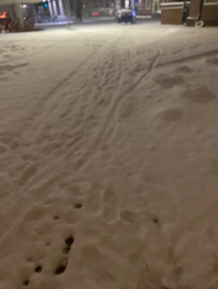 My Footsteps in the Snow