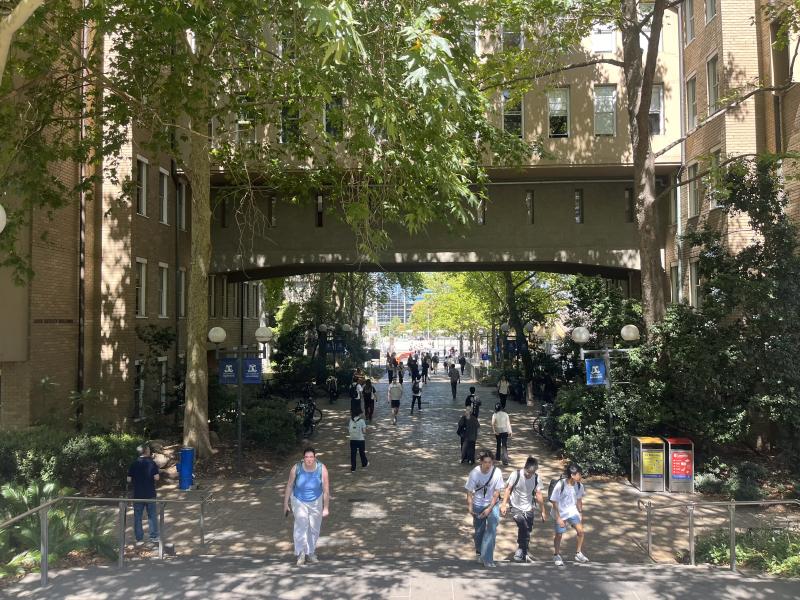 a view from our main walkway to class at the university of melbourne