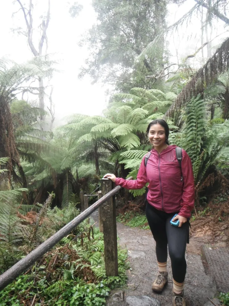 A photo of our hiking train in the Australian forest. 
