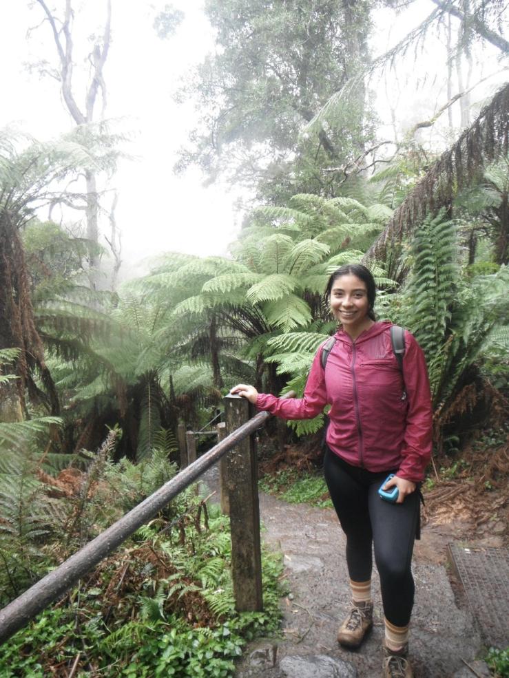 A photo of our hiking train in the Australian forest. 