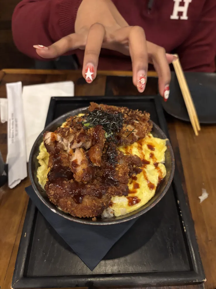 A dish called "Katsu Don" is pictured. It has 3 layers: rice, egg, and chicken katsu (fried chicken cutlet).