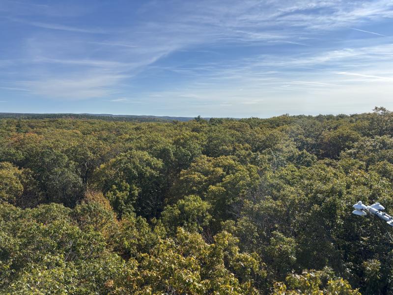 An aerial view of Harvard Forest from one of its canopies. 