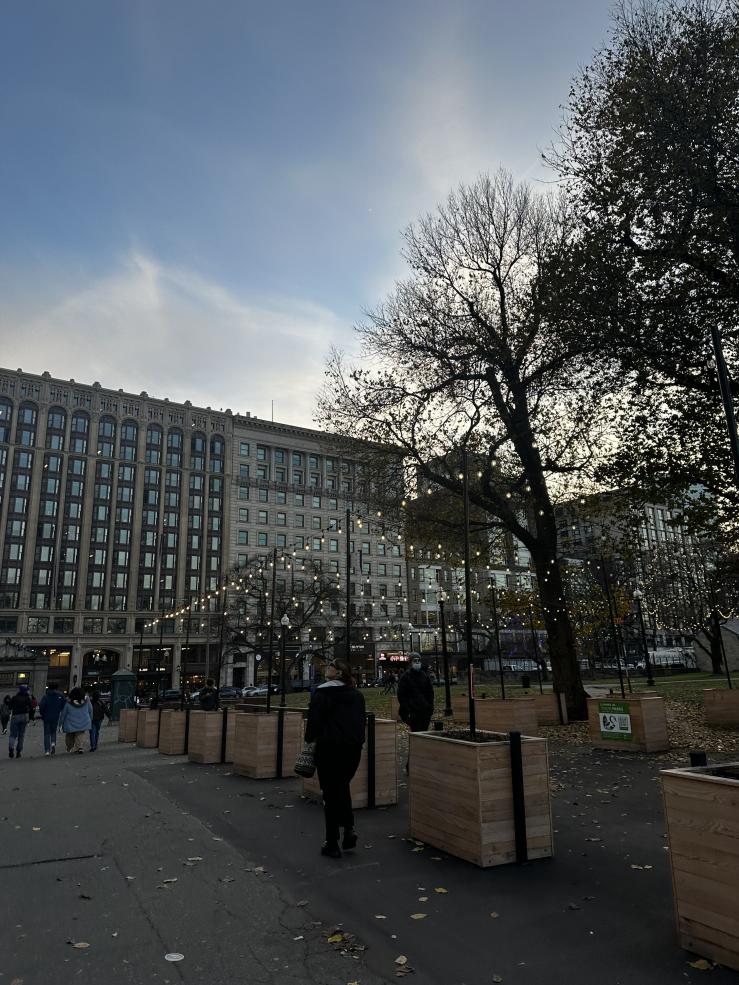 Picture of Boston park with string lights, trees, and people walking 