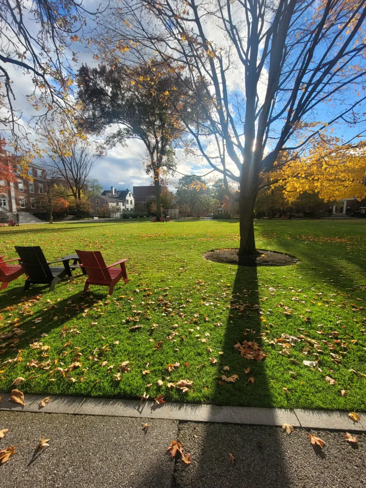 A picture of Radcliffe courtyard on a bright fall afternoon!