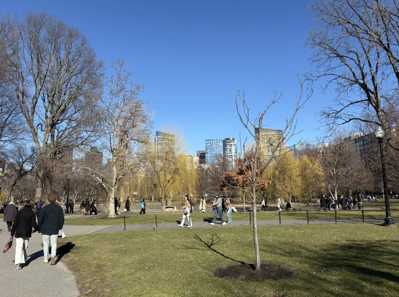 Boston commons on a sunny day