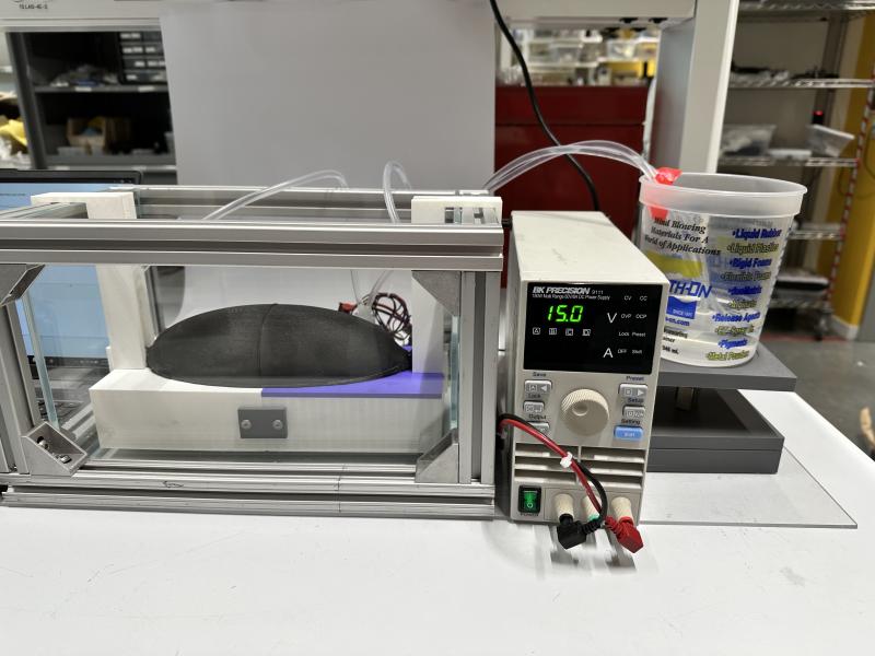 Tiahna Padilla's phantom limb in a glass box in the lab.