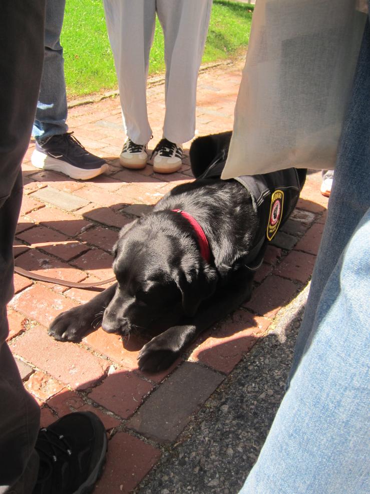 People petting Sasha, the HUPD dog