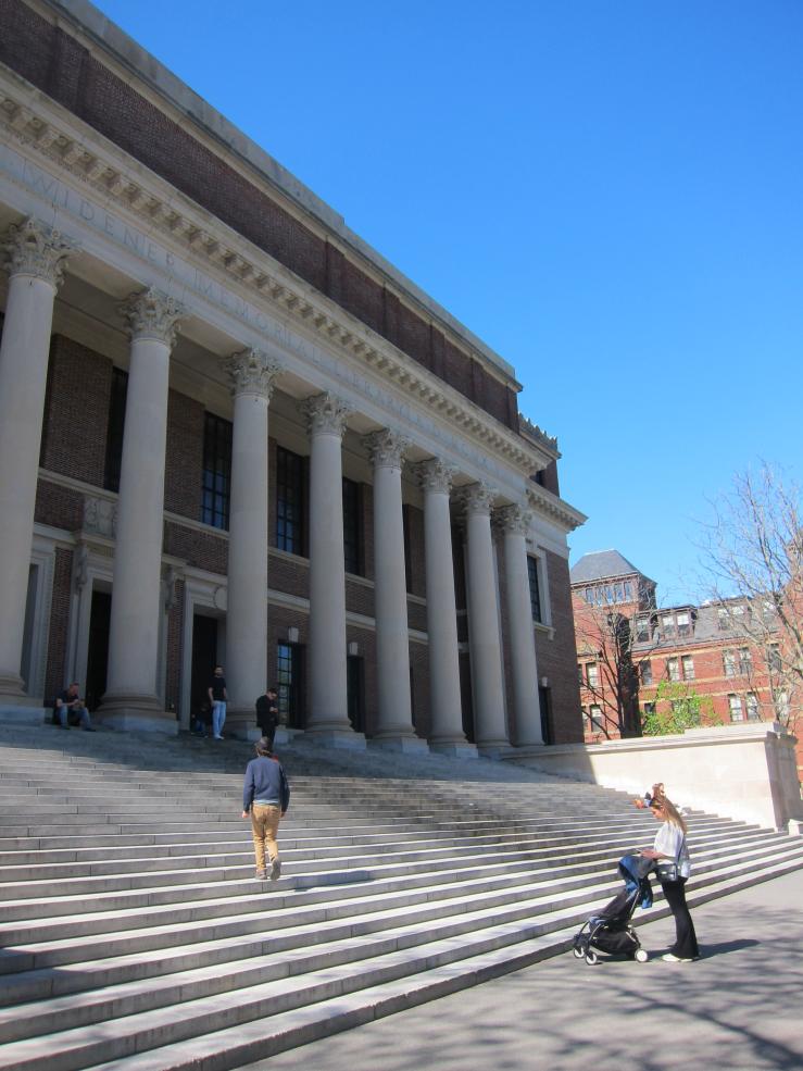 Steps of widener library