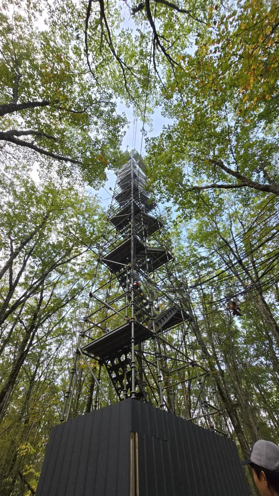 Observation tower in the Harvard Forest